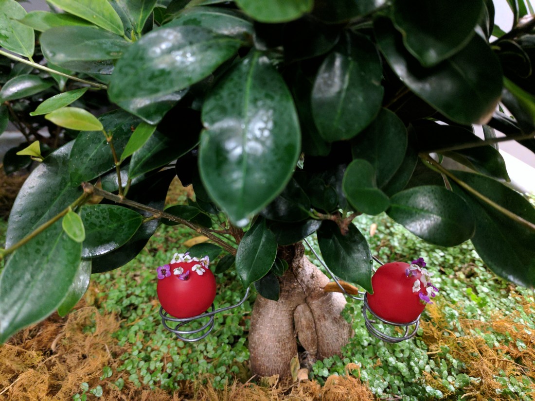 img_20170812_214828_36531091185_o