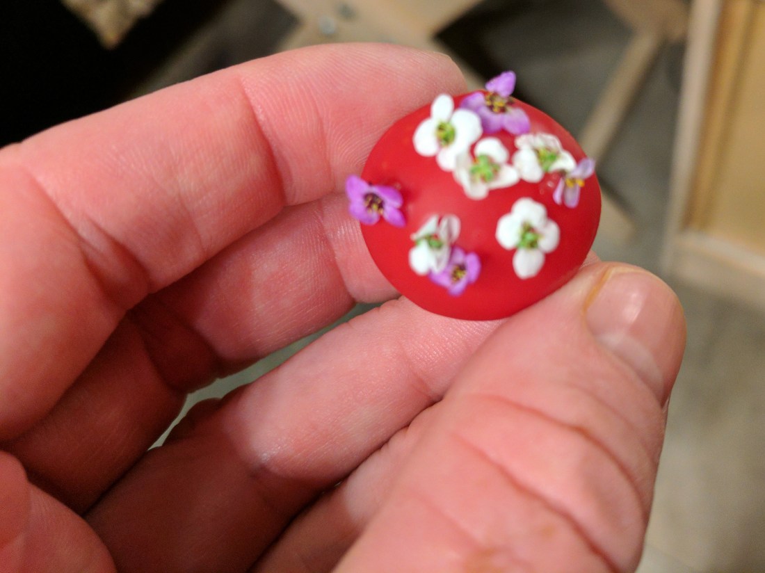 img_20170812_214902_36393578761_o